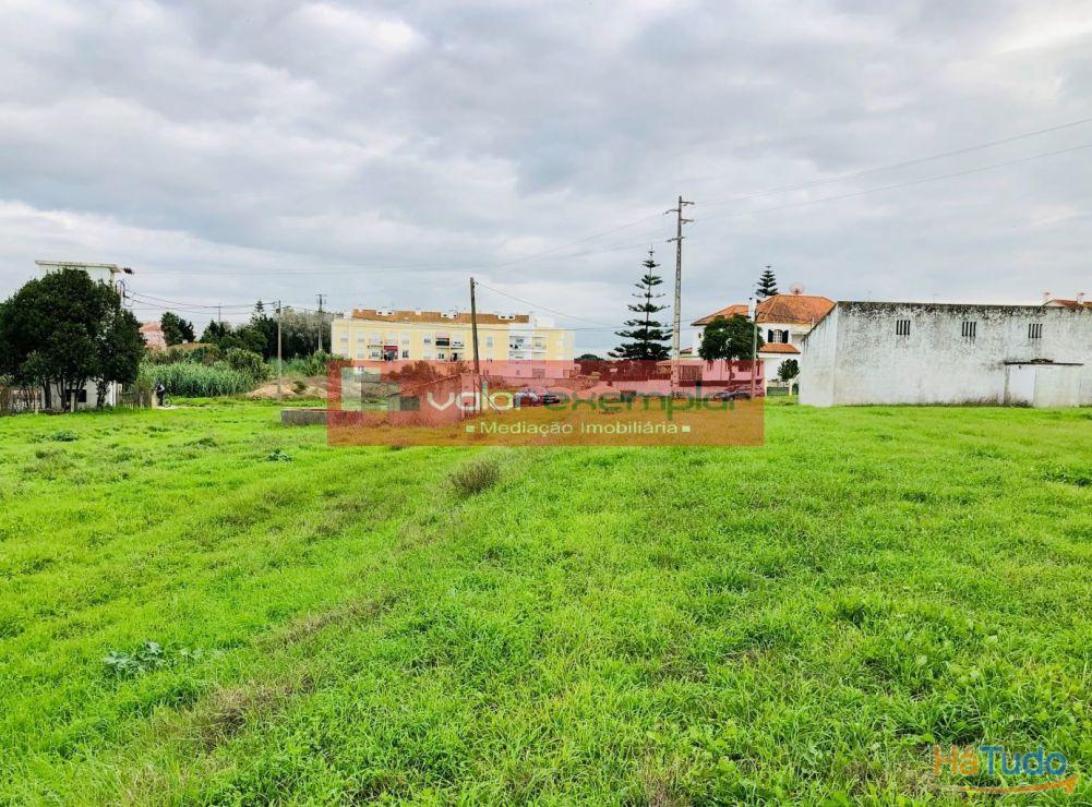 TERRENO C/ 1 HA C/ DESTINO HABITAÇÃO E AUXILIO AGRICOLA TERRENO C/ 1 HA C/ DESTINO HABITAÇÃO E AUXILIO AGRICOLA