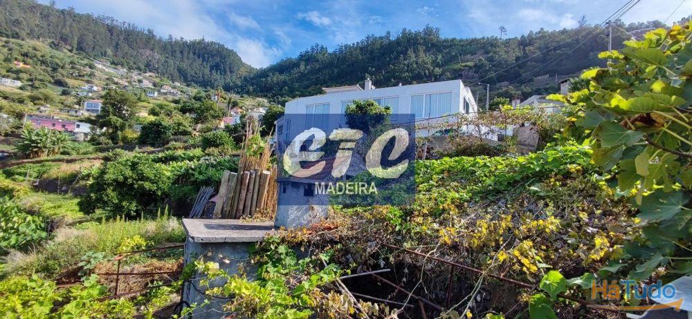 Beautiful sunny and sea view property in Arco da Calheta Beautiful sunny and sea view property in Arco da Calheta