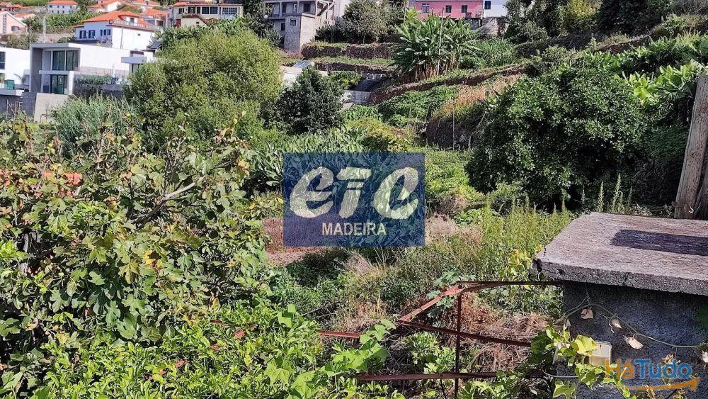 Beautiful sunny and sea view property in Arco da Calheta Beautiful sunny and sea view property in Arco da Calheta