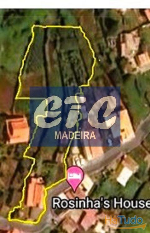 Beautiful sunny and sea view property in Arco da Calheta Beautiful sunny and sea view property in Arco da Calheta