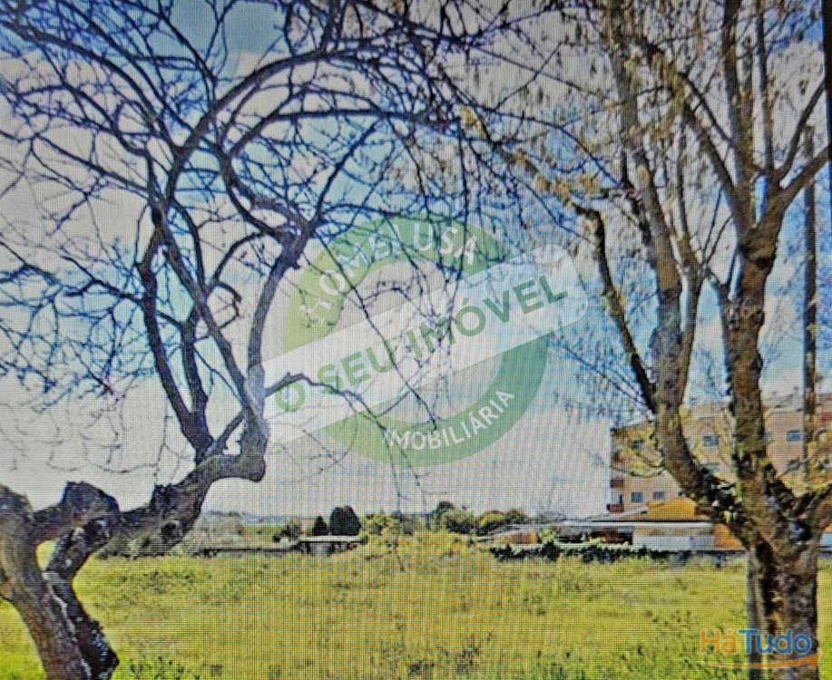 Terreno Urbano Para construção em Esgueira Terreno Urbano Para construção em Esgueira