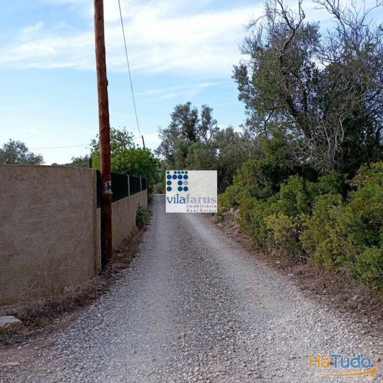 Terreno rústico de2.560m2 murado e portão Terreno rústico de2.560m2 murado e portão