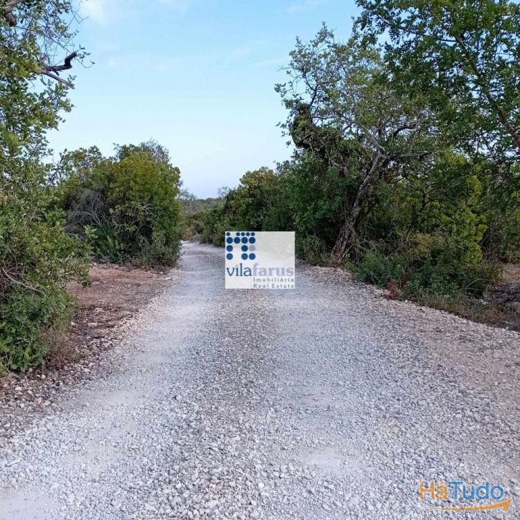 Terreno rústico de2.560m2 murado e portão Terreno rústico de2.560m2 murado e portão