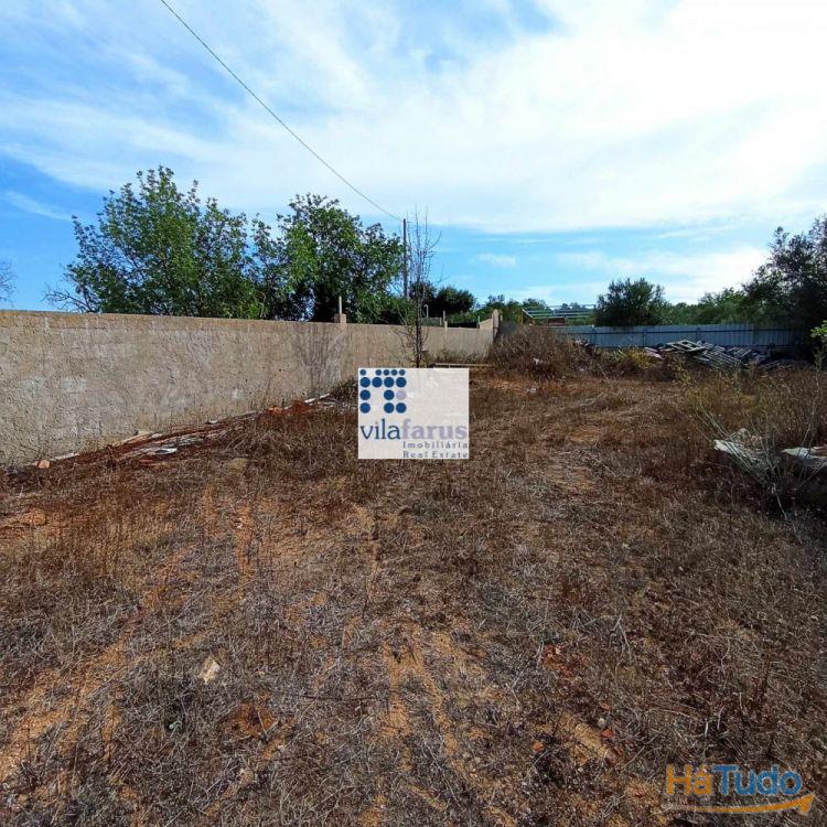 Terreno rústico de2.560m2 murado e portão Terreno rústico de2.560m2 murado e portão