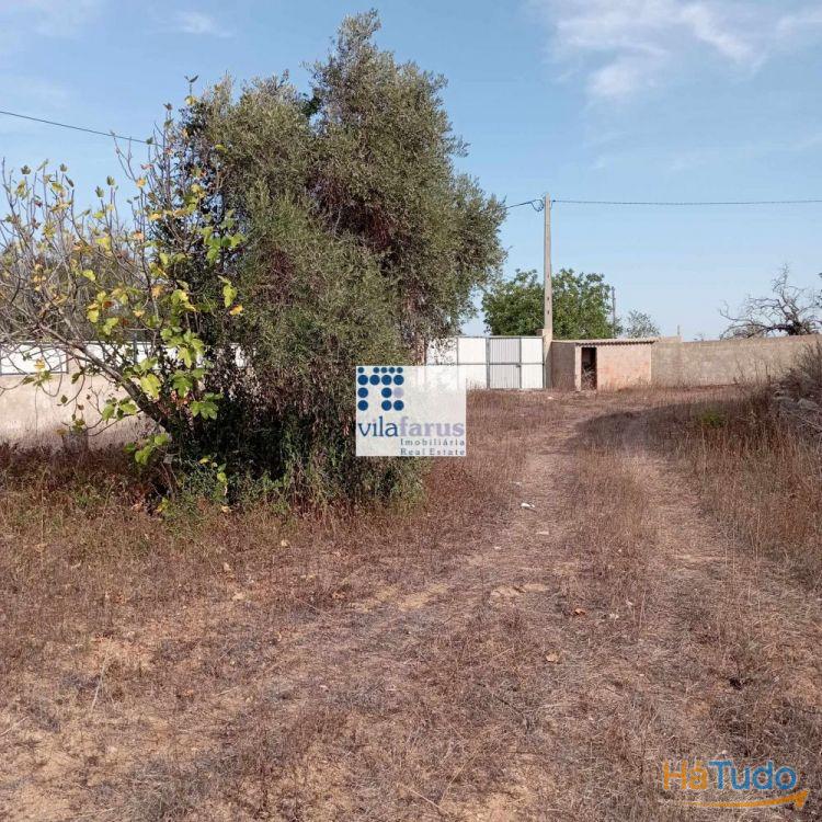 Terreno rústico de2.560m2 murado e portão Terreno rústico de2.560m2 murado e portão