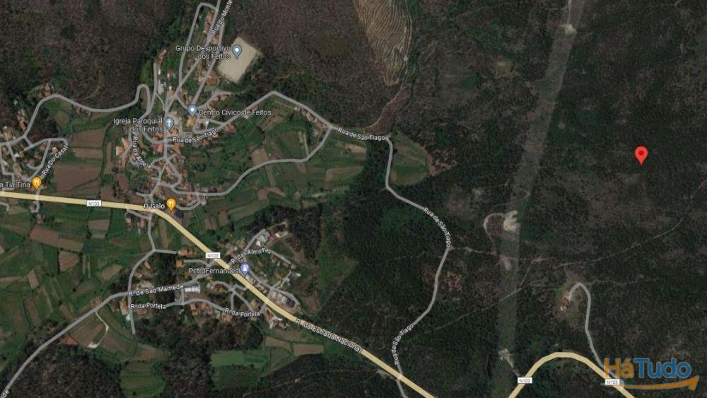 Terreno rústico para venda em Tamel (Santa Leocádia) - Barcelos Terreno rústico para venda em Tamel (Santa Leocádia) - Barcelos