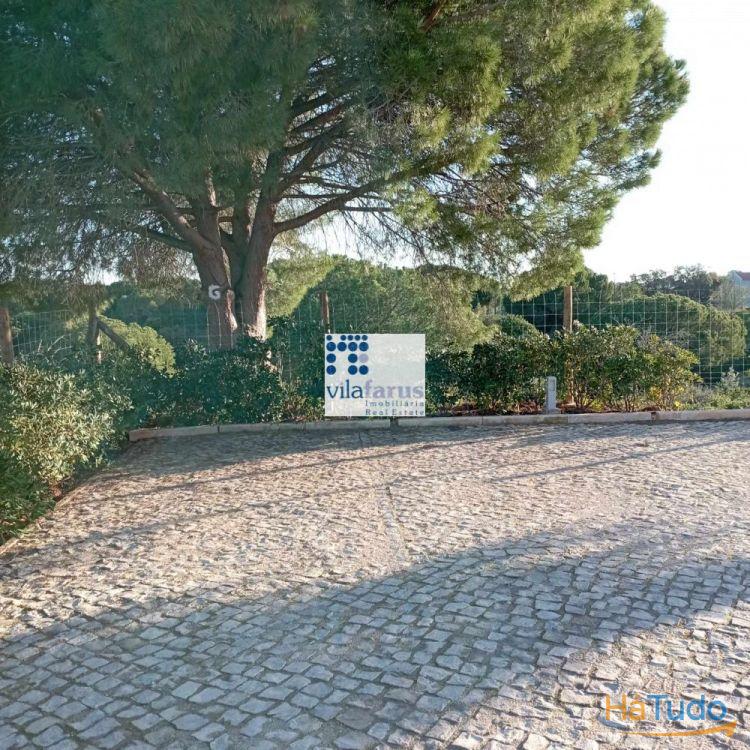 T1+1 em codomínio fechado com piscina e jardins T1+1 em codomínio fechado com piscina e jardins