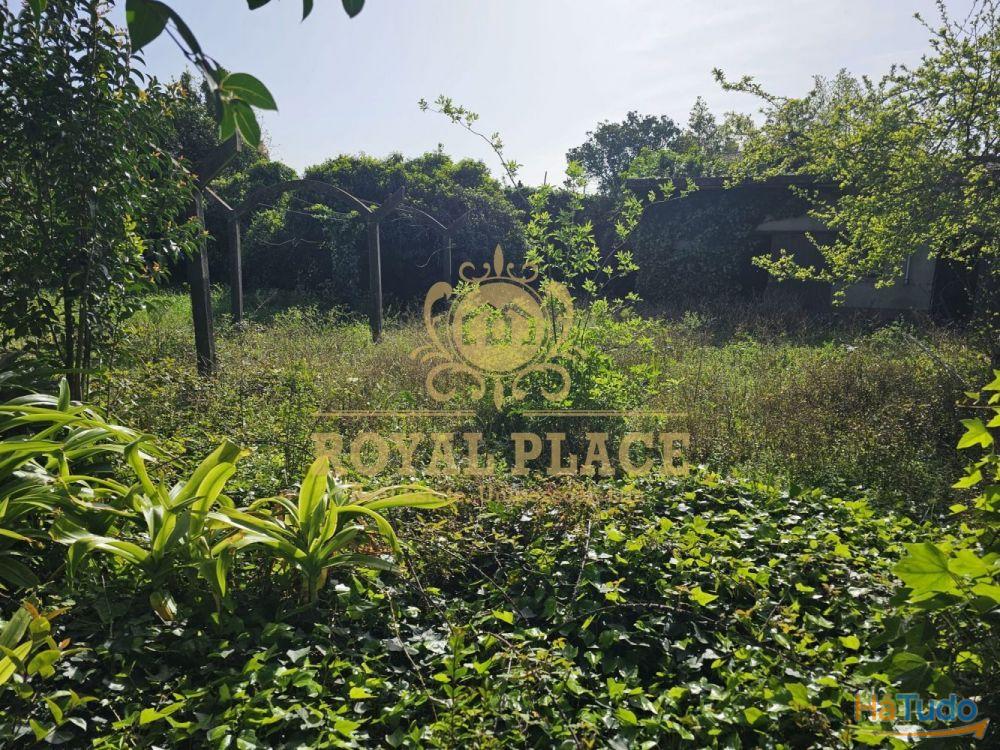 Moradia com terreno no Centro de Arrifana Moradia com terreno no Centro de Arrifana