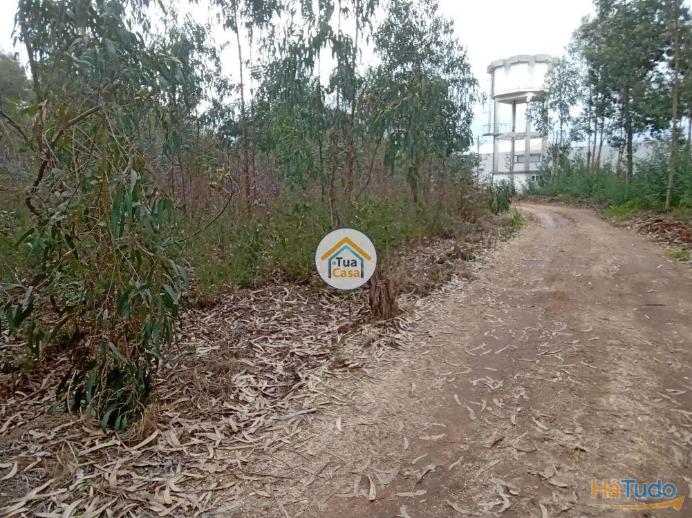 Terreno r�stico com viabilidade de constru��o em �gueda