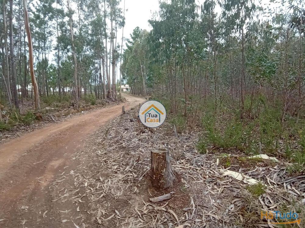 Terreno r�stico com viabilidade de constru��o em �gueda