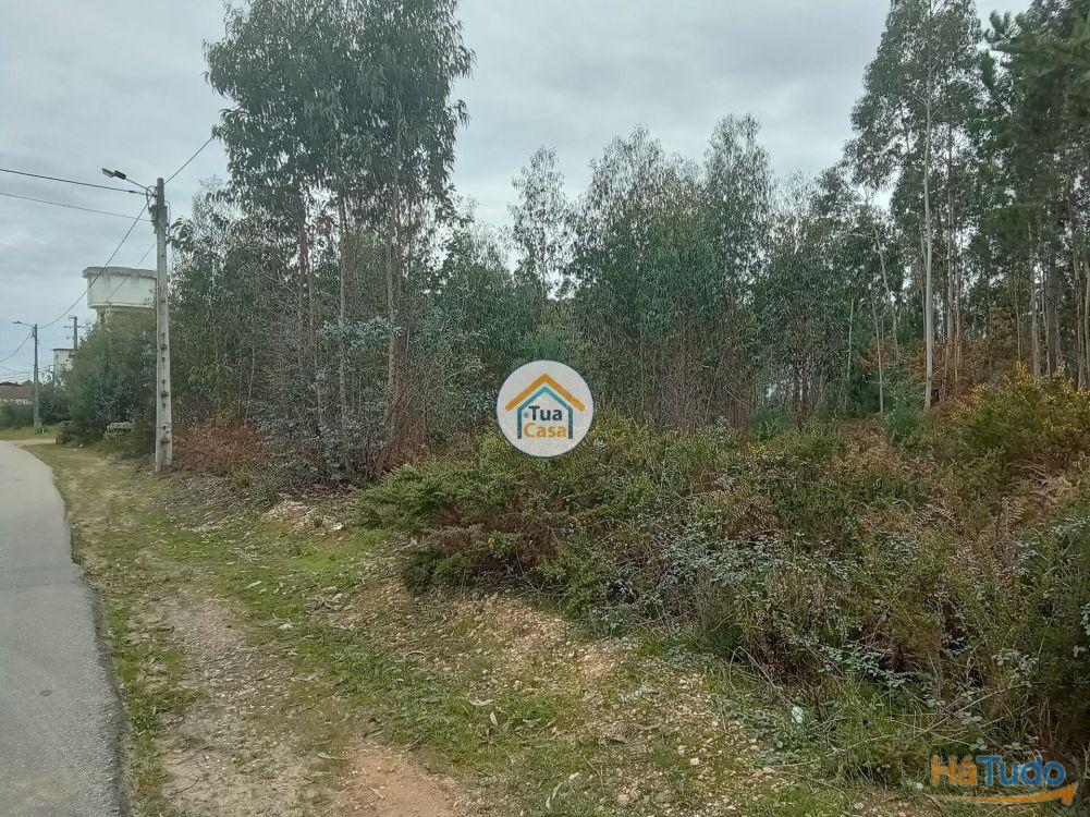 Terreno r�stico com viabilidade de constru��o em �gueda