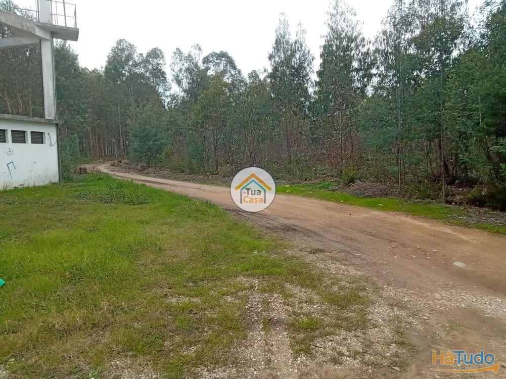 Terreno r�stico com viabilidade de constru��o em �gueda