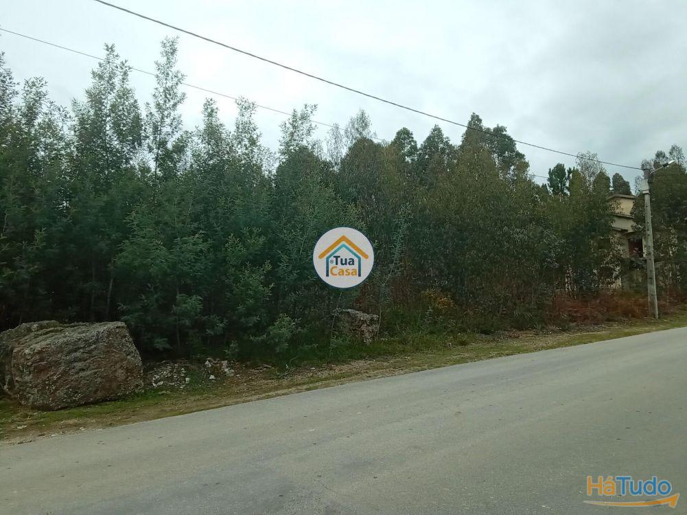 Terreno r�stico com viabilidade de constru��o em �gueda