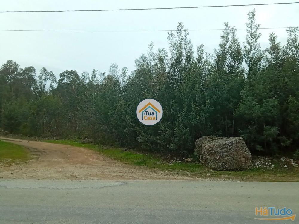 Terreno r�stico com viabilidade de constru��o em �gueda