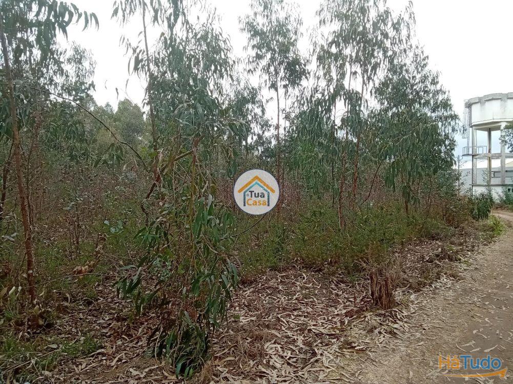 Terreno r�stico com viabilidade de constru��o em �gueda