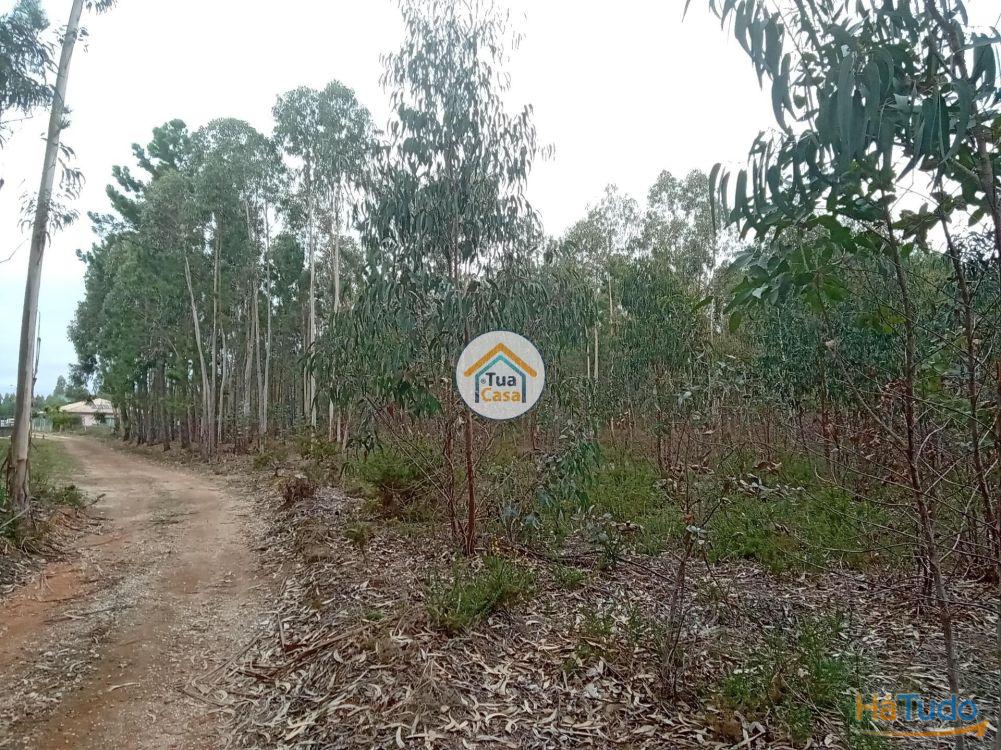 Terreno r�stico com viabilidade de constru��o em �gueda