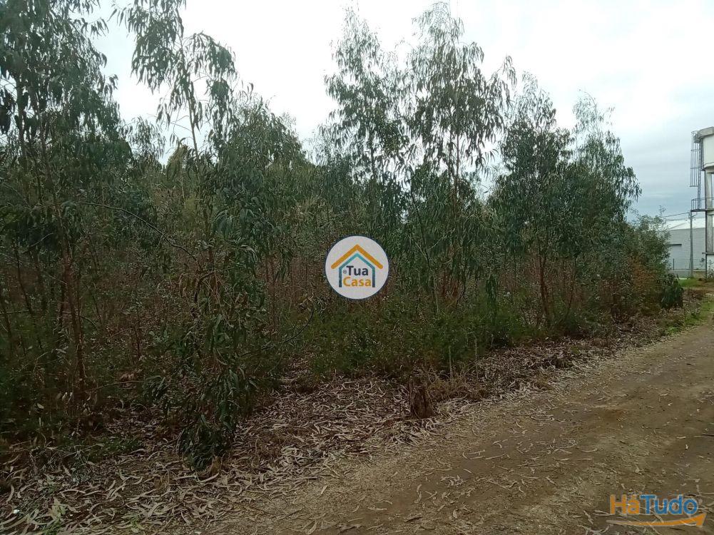 Terreno r�stico com viabilidade de constru��o em �gueda