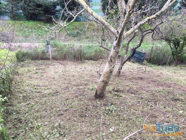 Lote Terreno para Reconstrução Lote Terreno para Reconstrução