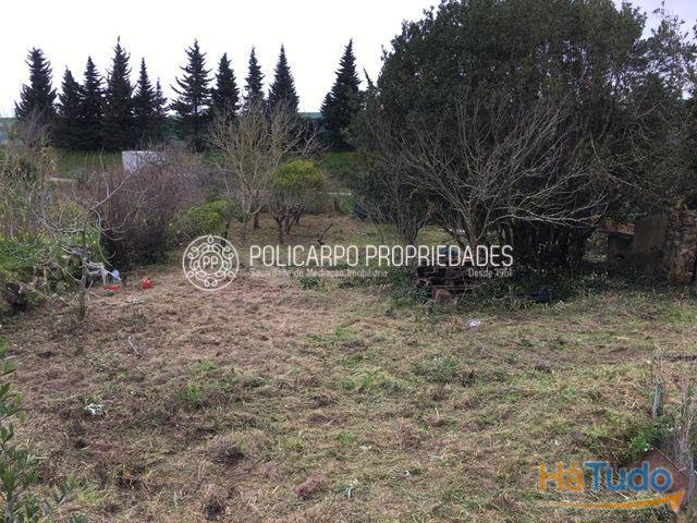 Lote Terreno para Reconstrução Lote Terreno para Reconstrução