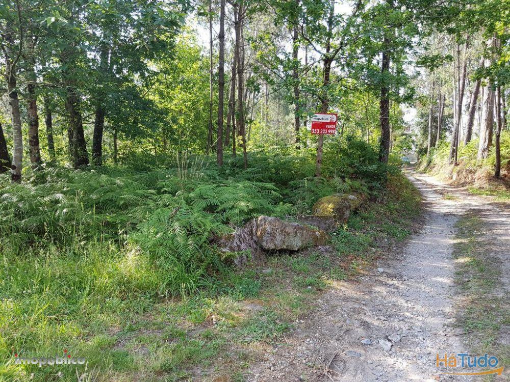 Terreno em Gême, Vila Verde Terreno em Gême, Vila Verde