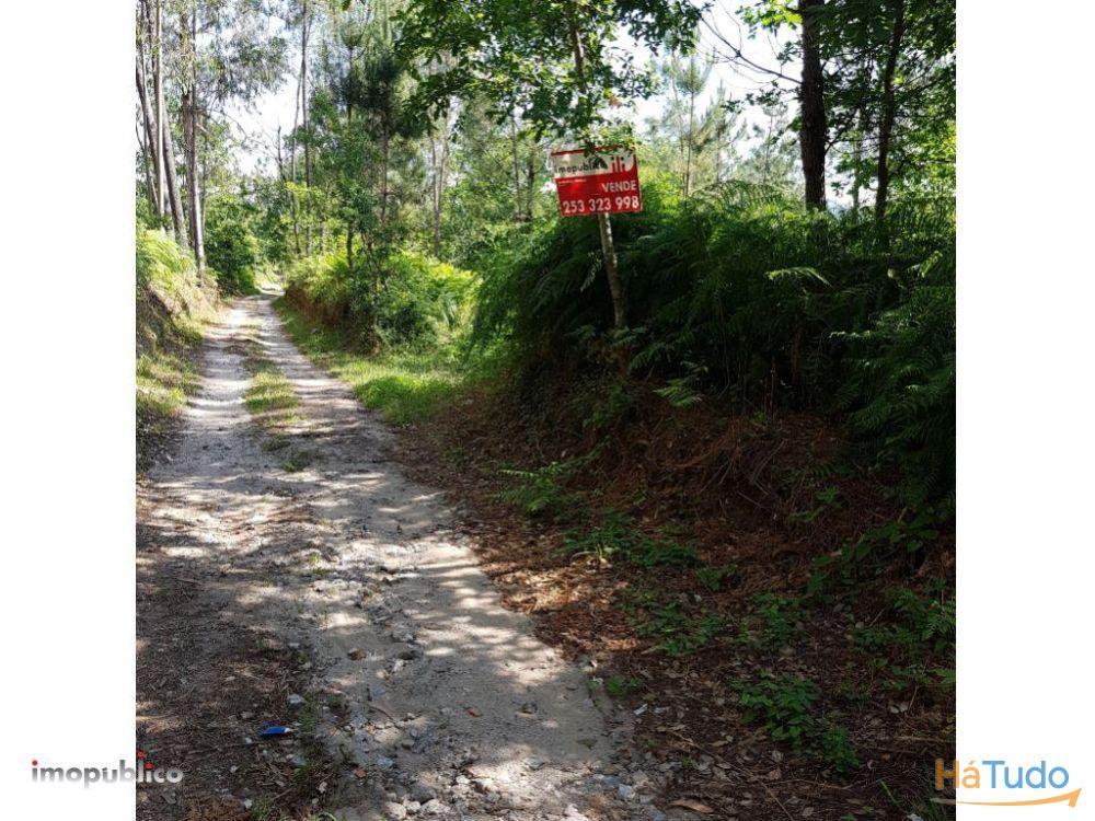 Terreno em Gême, Vila Verde Terreno em Gême, Vila Verde