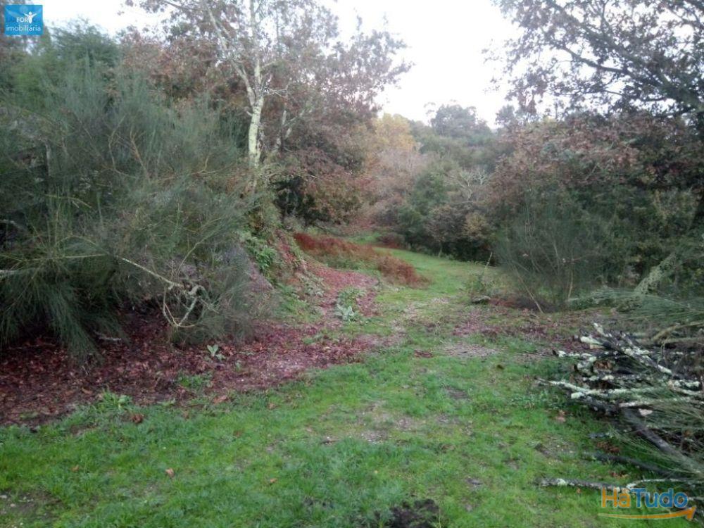 Moradia individual, para venda, Póvoa de Lanhoso - Fonte Arcada e Oliveira Moradia individual, para venda, Póvoa de Lanhoso - Fonte Arcada e Oliveira