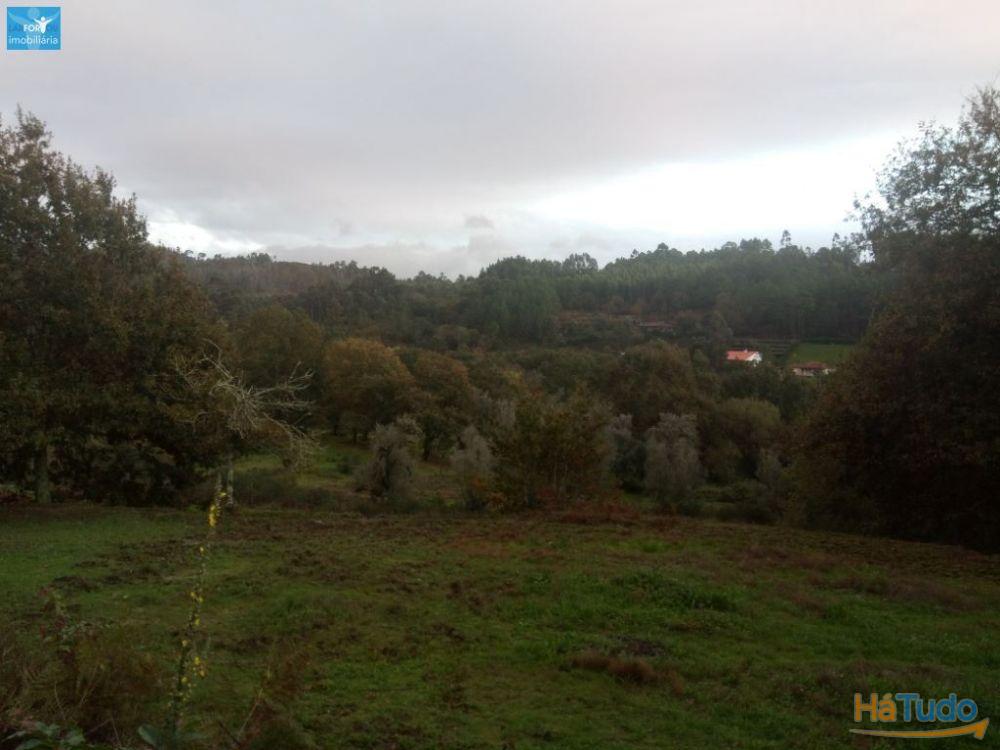 Moradia individual, para venda, Póvoa de Lanhoso - Fonte Arcada e Oliveira Moradia individual, para venda, Póvoa de Lanhoso - Fonte Arcada e Oliveira