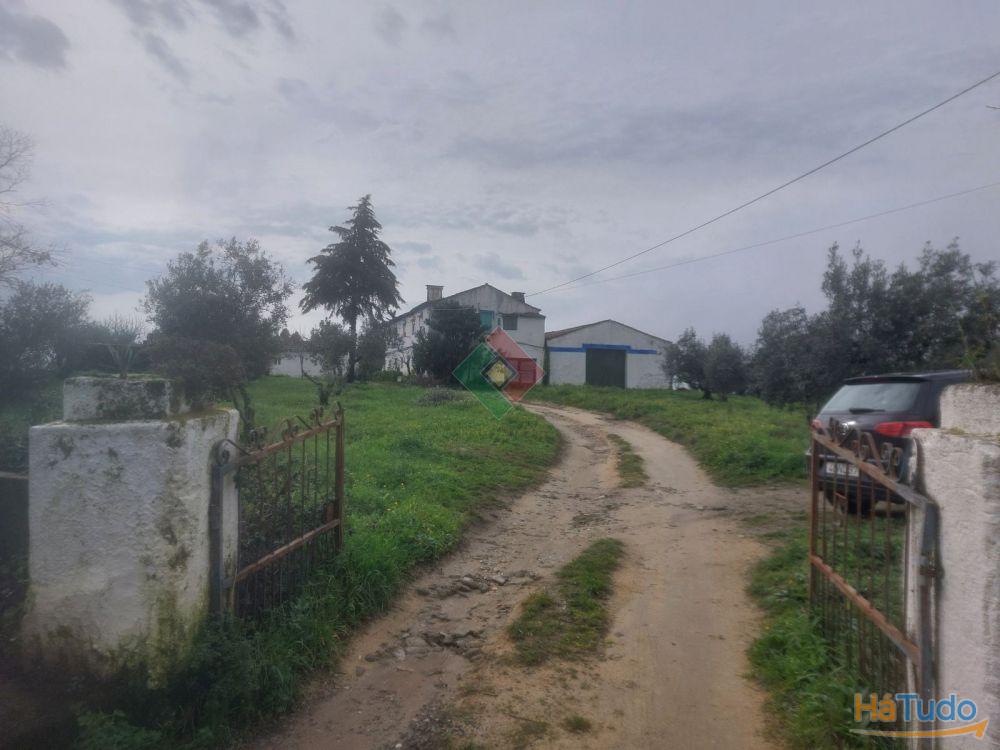 Quinta, para venda, Portalegre - Sé e São Lourenço Quinta, para venda, Portalegre - Sé e São Lourenço
