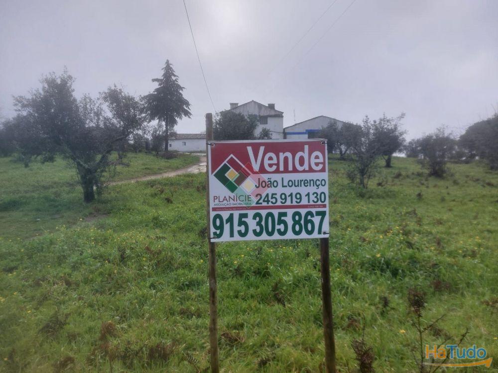 Quinta, para venda, Portalegre - Sé e São Lourenço Quinta, para venda, Portalegre - Sé e São Lourenço