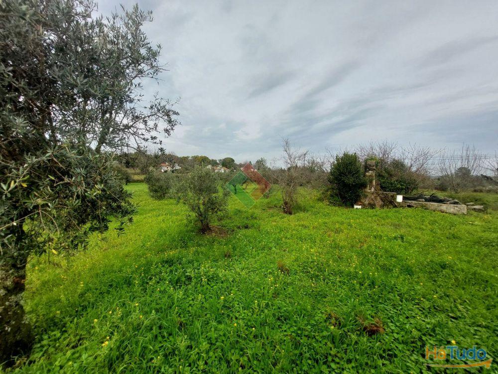 Quinta, para venda, Portalegre - Sé e São Lourenço Quinta, para venda, Portalegre - Sé e São Lourenço