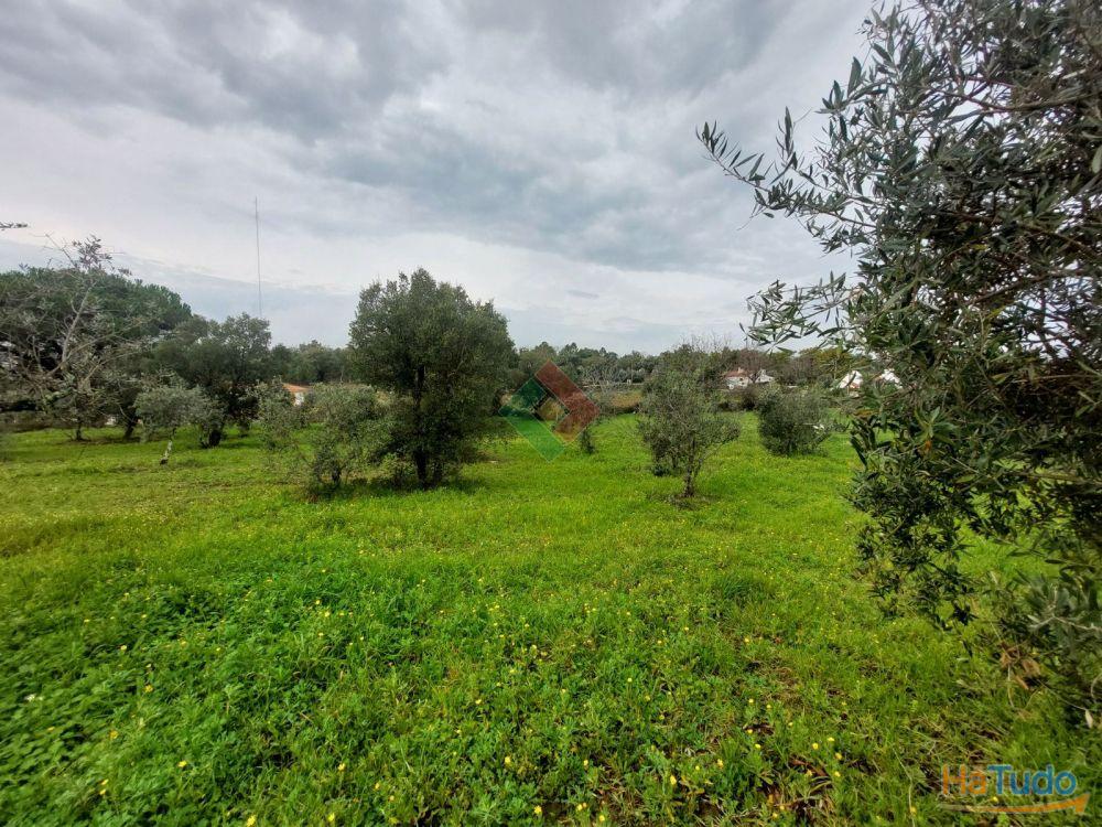 Quinta, para venda, Portalegre - Sé e São Lourenço Quinta, para venda, Portalegre - Sé e São Lourenço