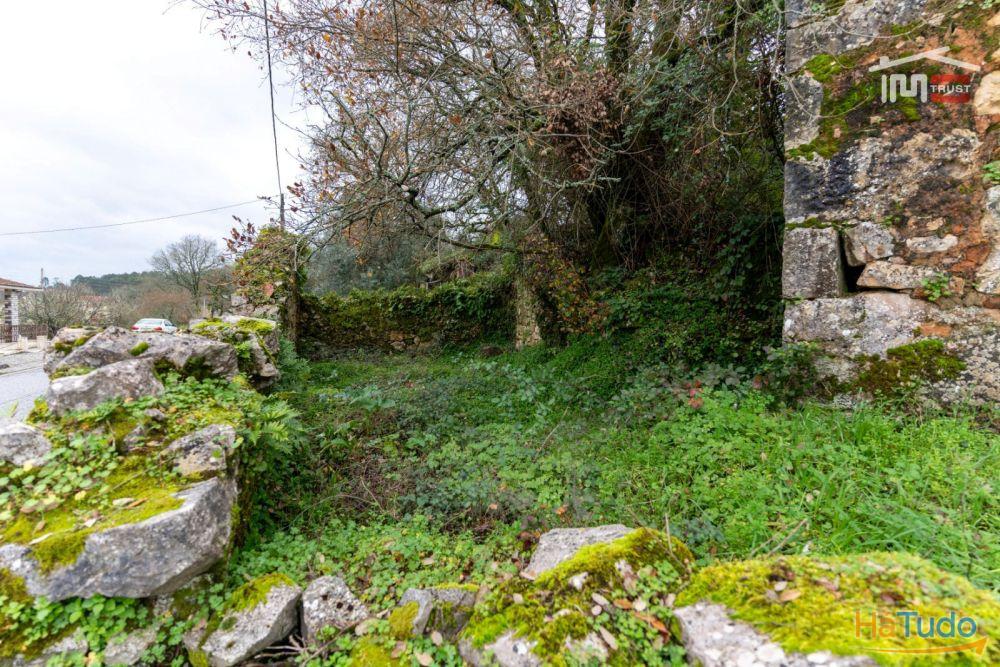 MORADIA T2 DE CAMPO PARA RECUPERAR COM LAREIRA, POÇO E FORNO (S. MAMEDE) MORADIA T2 DE CAMPO PARA RECUPERAR COM LAREIRA, POÇO E FORNO (S. MAMEDE)