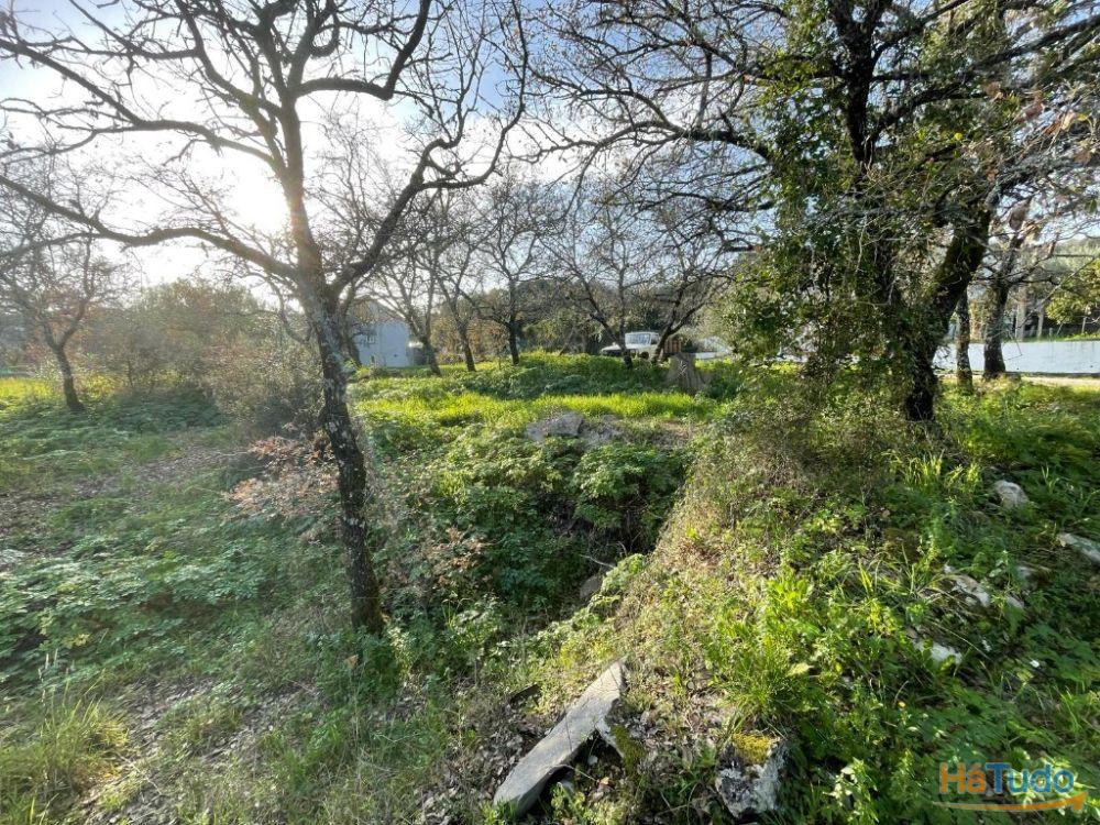 Terreno à venda no concelho de Ferreira do Zêzere, Santarém Terreno à venda no concelho de Ferreira do Zêzere, Santarém