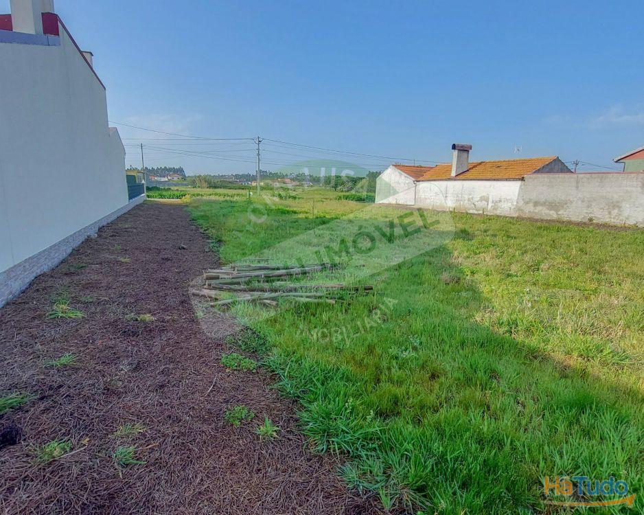 Terreno para construção com 6238 m2 Terreno para construção com 6238 m2