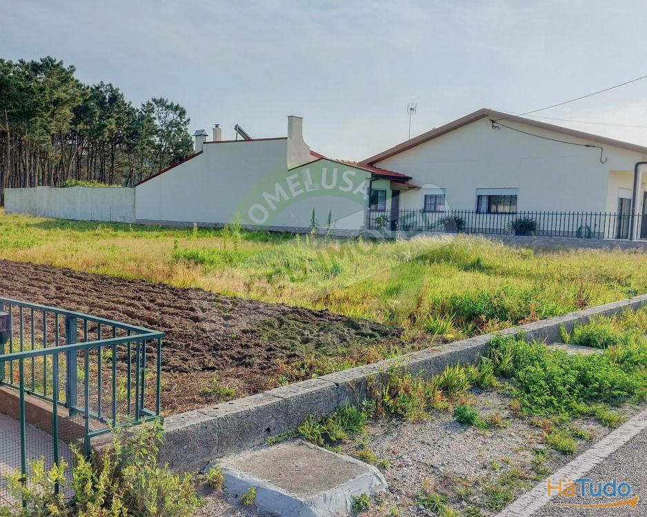 Terreno para construção com 6238 m2 Terreno para construção com 6238 m2