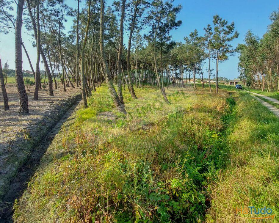 Terreno para construção com 6238 m2 Terreno para construção com 6238 m2