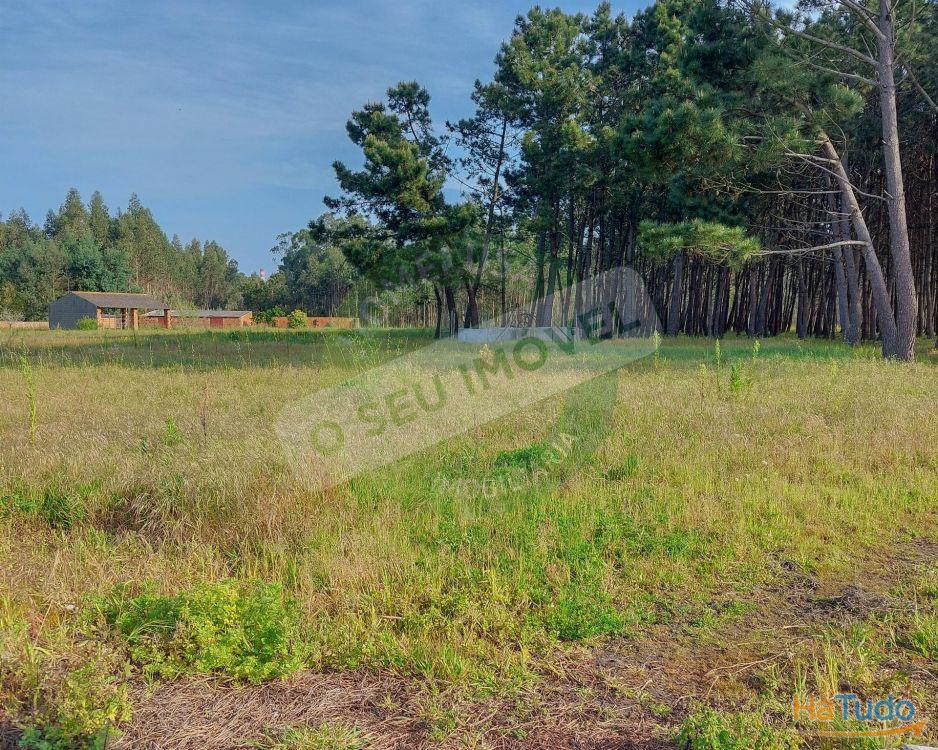 Terreno para construção com 6238 m2 Terreno para construção com 6238 m2