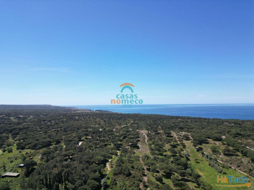 Terreno rústico junto à praia do Meco! Terreno rústico junto à praia do Meco!