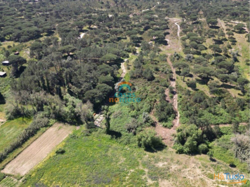 Terreno rústico junto à praia do Meco! Terreno rústico junto à praia do Meco!