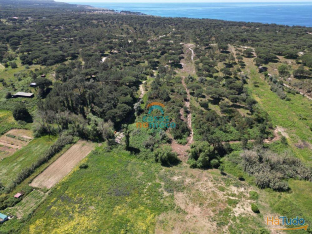 Terreno rústico junto à praia do Meco! Terreno rústico junto à praia do Meco!