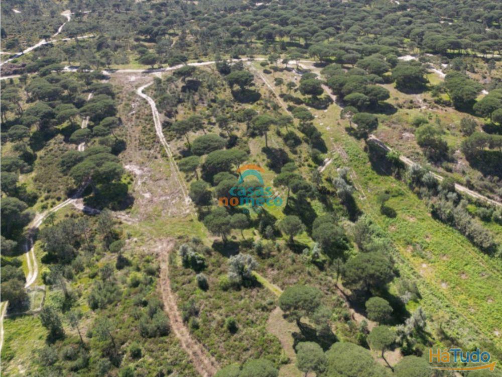 Terreno rústico junto à praia do Meco! Terreno rústico junto à praia do Meco!