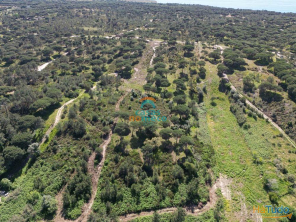 Terreno rústico junto à praia do Meco! Terreno rústico junto à praia do Meco!