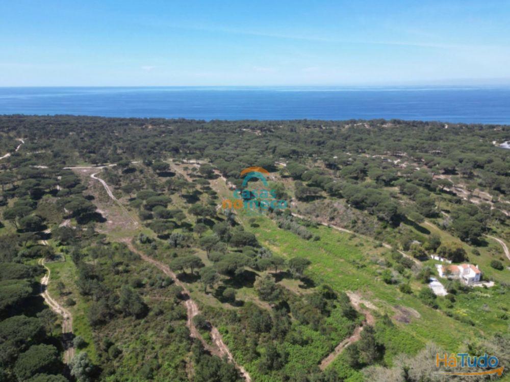 Terreno rústico junto à praia do Meco! Terreno rústico junto à praia do Meco!