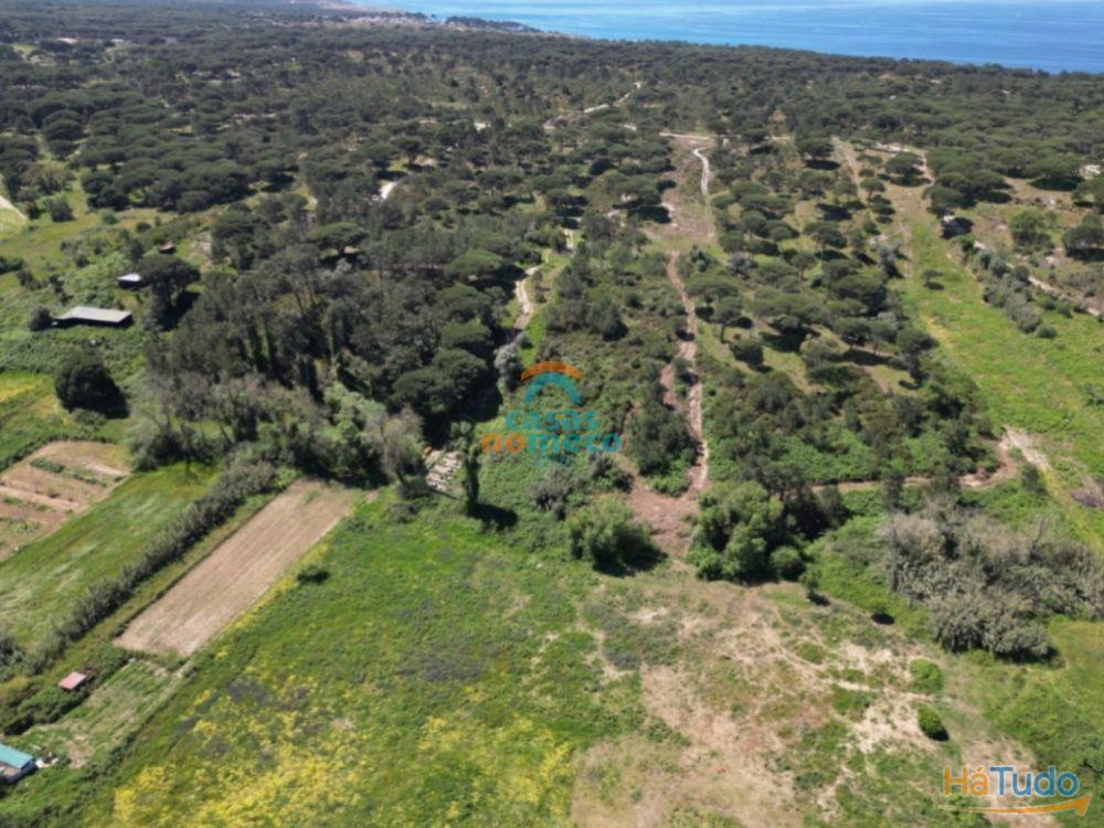 Terreno rústico junto à praia do Meco! Terreno rústico junto à praia do Meco!