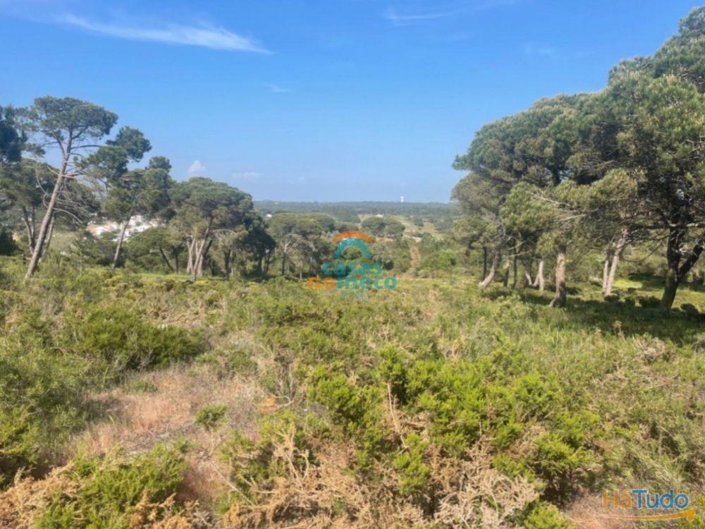 Terreno rústico junto à praia do Meco! Terreno rústico junto à praia do Meco!