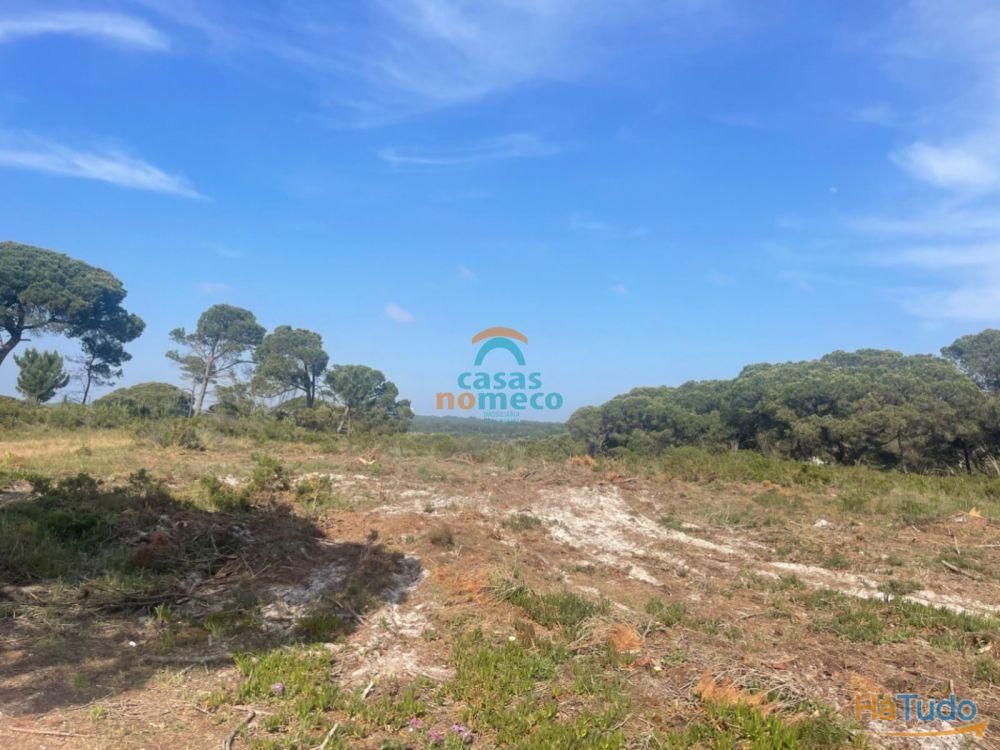 Terreno rústico junto à praia do Meco! Terreno rústico junto à praia do Meco!