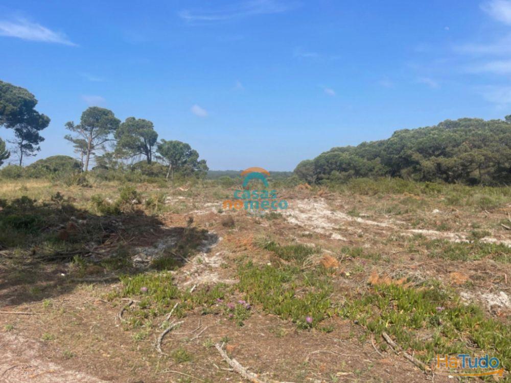 Terreno rústico junto à praia do Meco! Terreno rústico junto à praia do Meco!