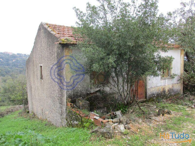 Casa de habitação em ruínas perto de Tomar no centro de Portugal Casa de habitação em ruínas perto de Tomar no centro de Portugal