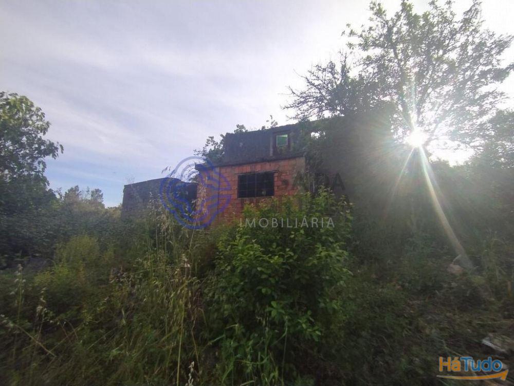 Casa de habitação em ruínas perto de Tomar no centro de Portugal Casa de habitação em ruínas perto de Tomar no centro de Portugal