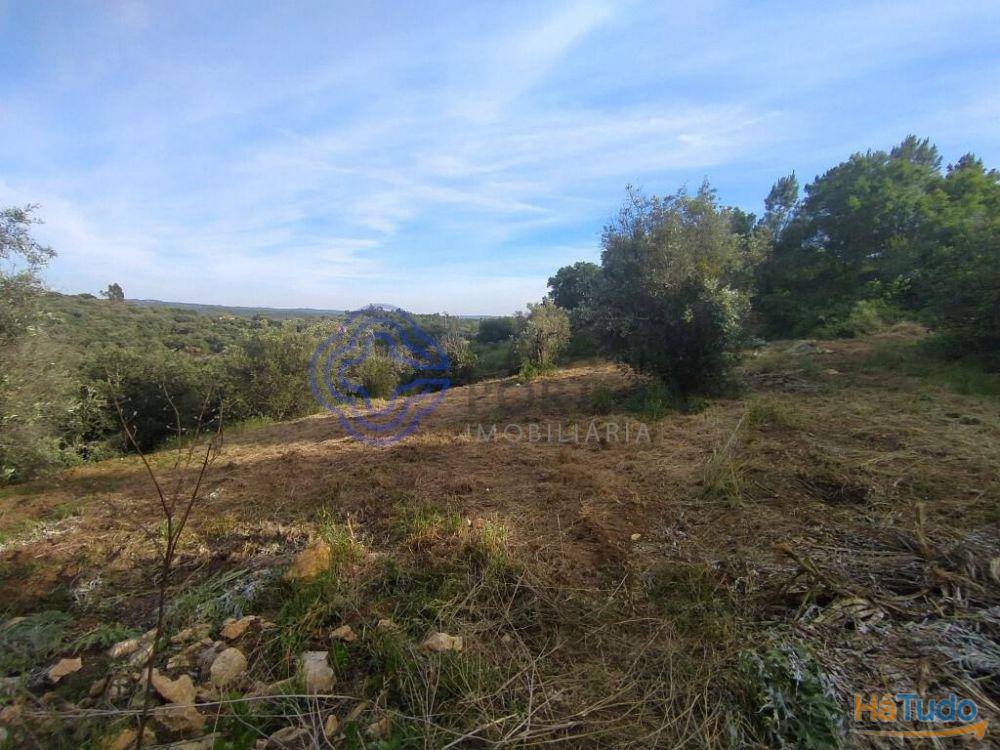Casa de habitação em ruínas perto de Tomar no centro de Portugal Casa de habitação em ruínas perto de Tomar no centro de Portugal